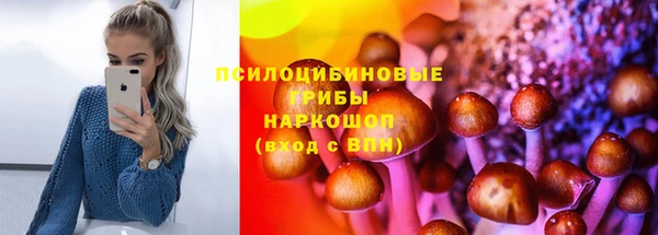 твердый Абинск