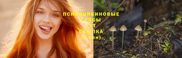 ECSTASY Алзамай