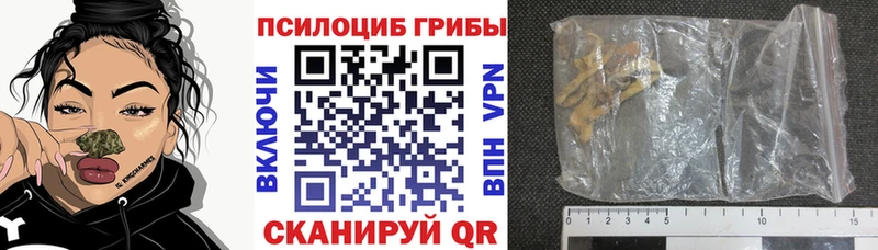 Галлюциногенные грибы Magic Shrooms  Анадырь 